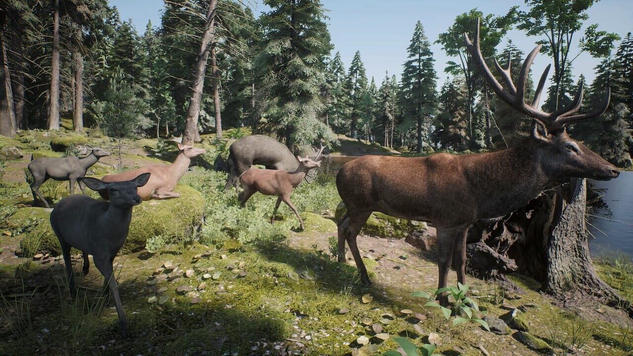 Project Hunt: Trophy Sanctuary