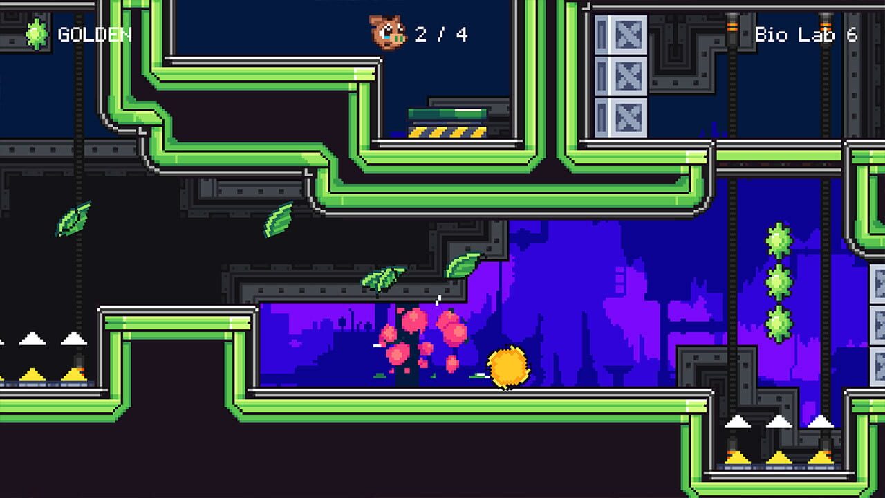 Guts ‘n Grunts Sr.