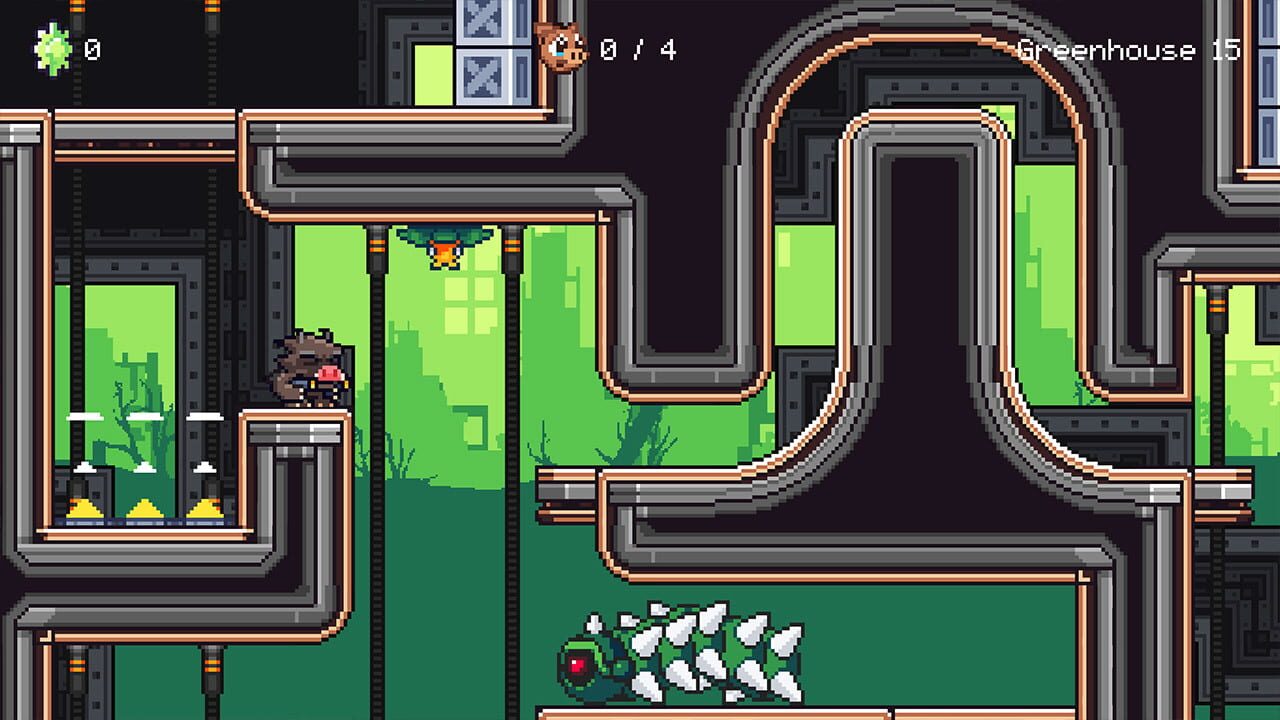 Guts ‘n Grunts Sr.