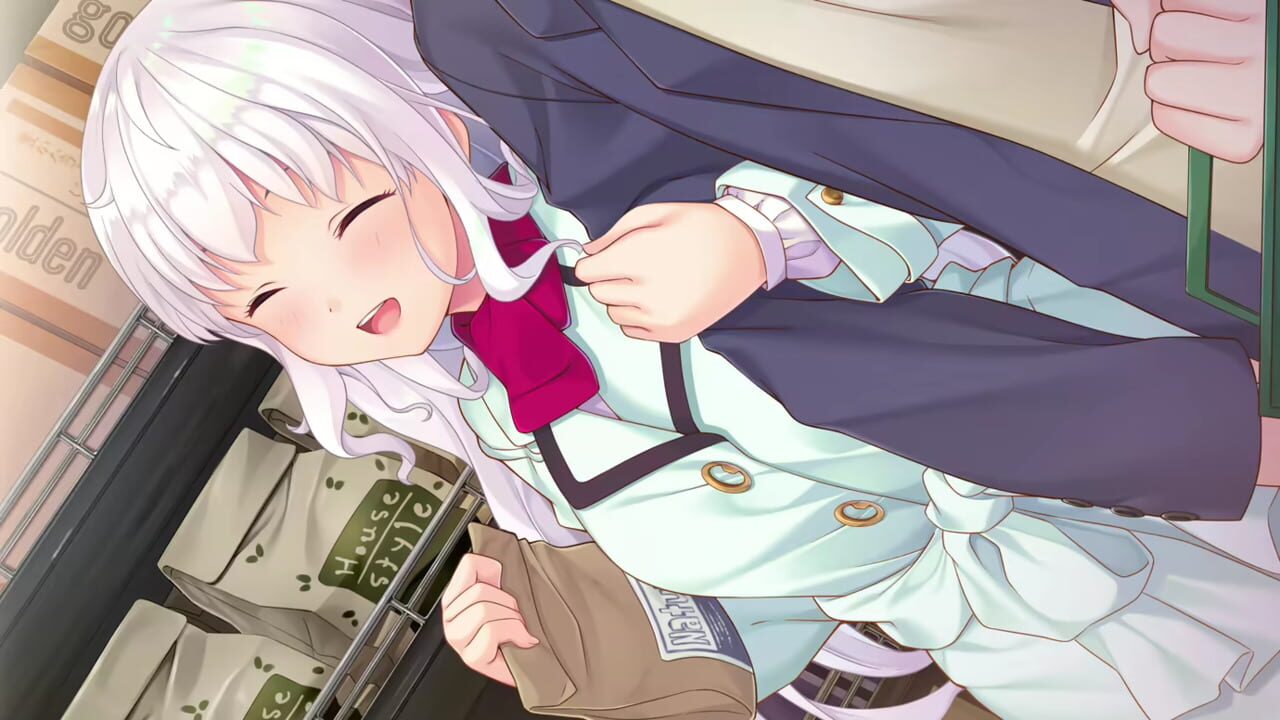 1/1 Kareshi Kanojo