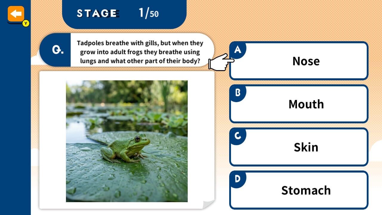 Challenge Together! Elementary School Quiz