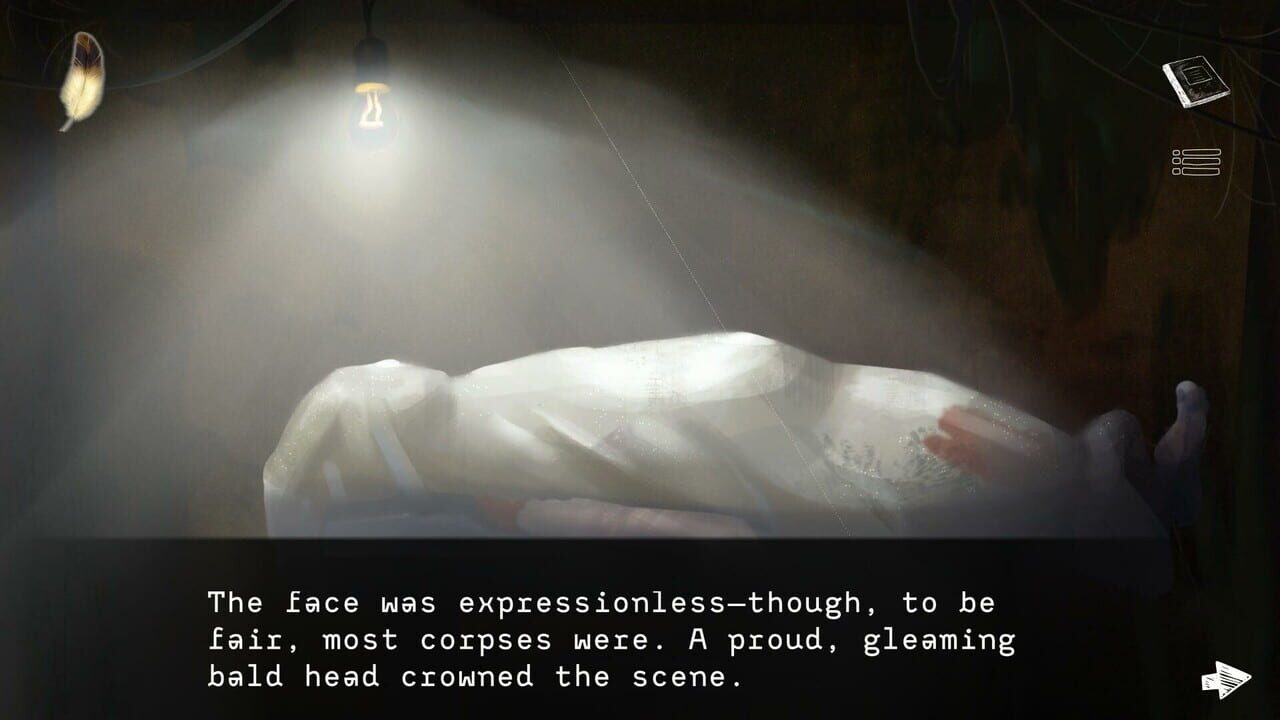 Reflections in Amber