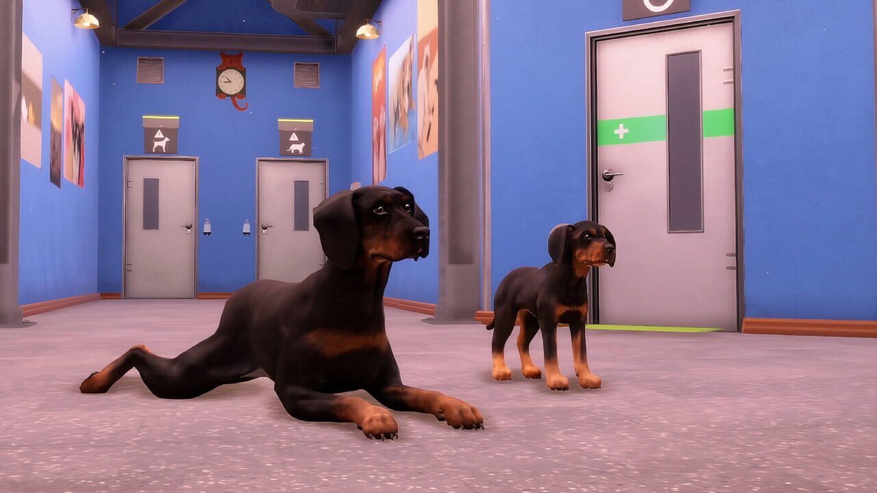 Animal Shelter 2: Hunting Dogs Pack