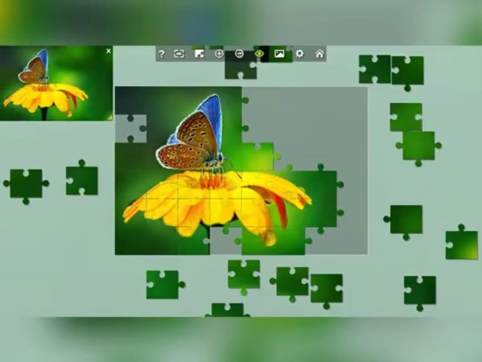 Wonderful Jigsaw