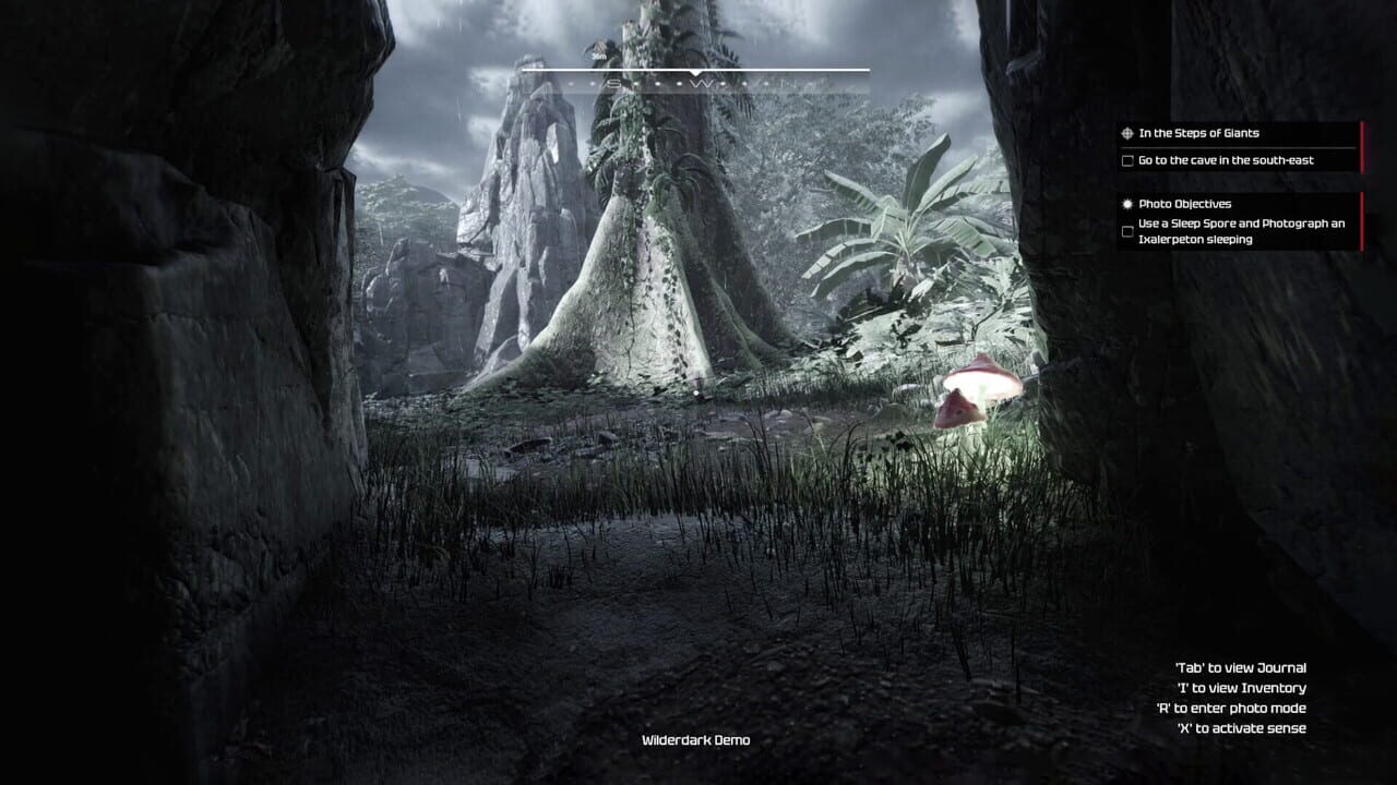Wilderdark