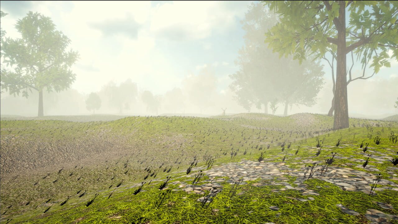 Drift