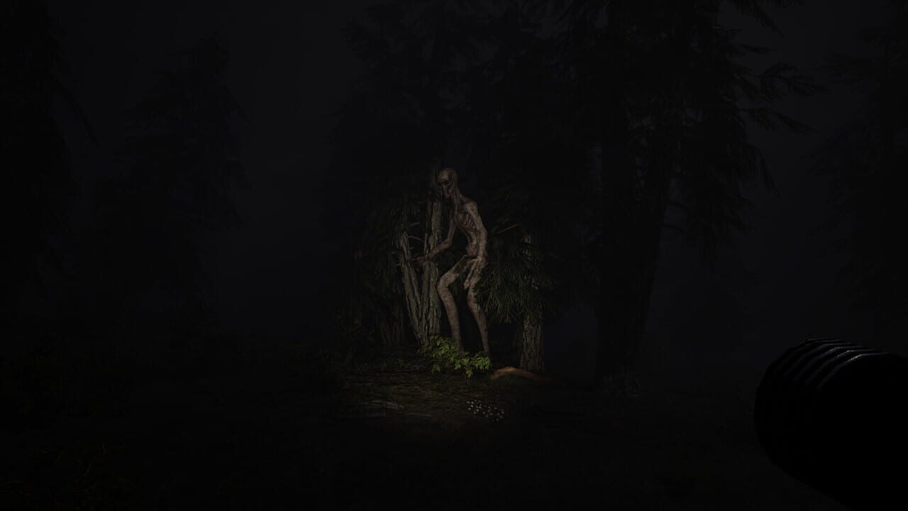 Echoes of Sin: Confusion