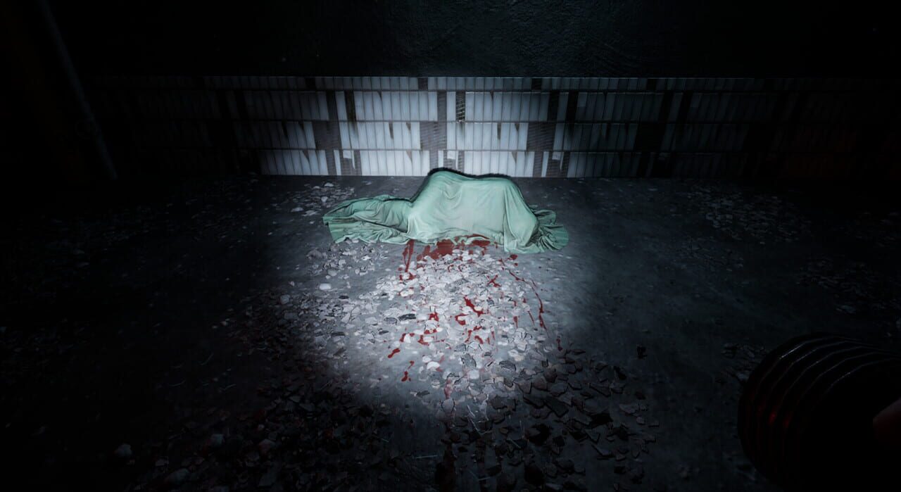 Echoes of Sin: Confusion