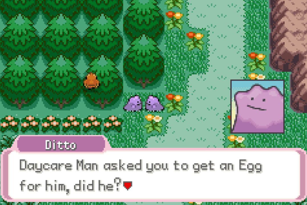 Pokemon Transform