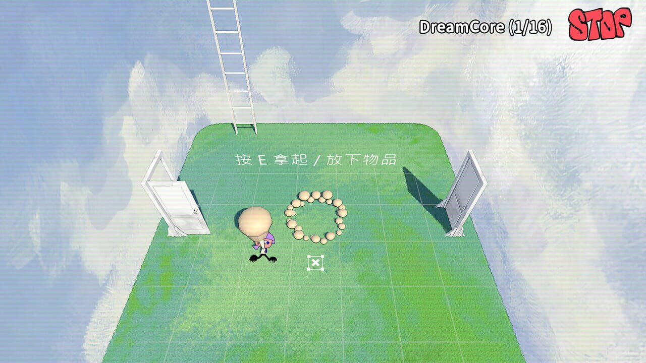 The Door in The Skybox