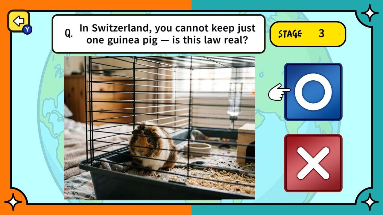 Surprising Laws Around the World True or False Quiz