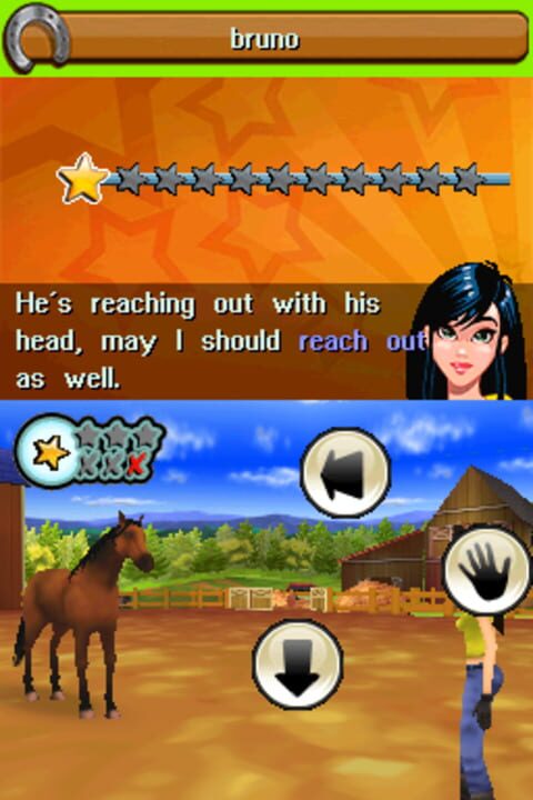 Petz Horsez Family