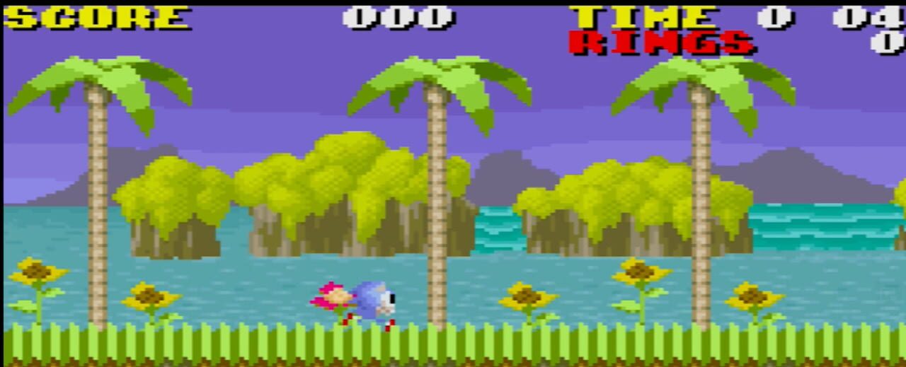 Mi ni Iku zo! Hedgehog
