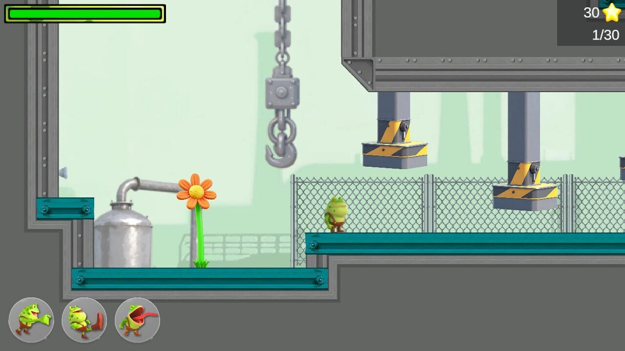 The Frog’s Adventure