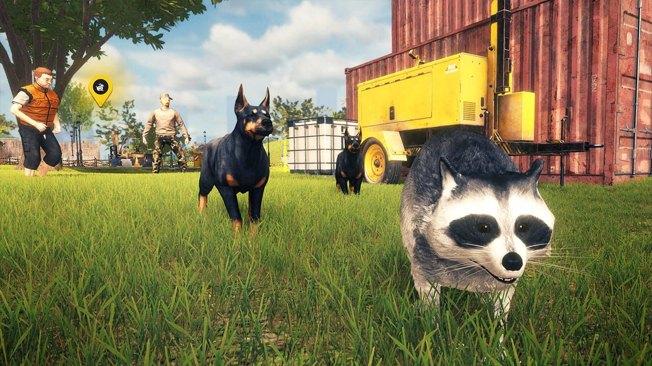 Raccoon Survival Simulator