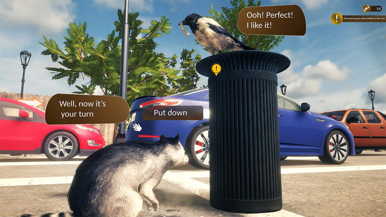 Raccoon Survival Simulator