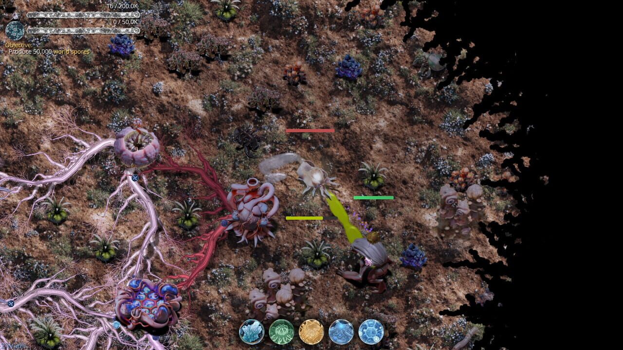 Mycelium Conquest