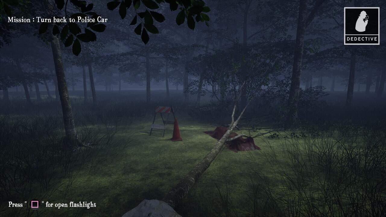Quiet Evidence: A Detective Mystery Case