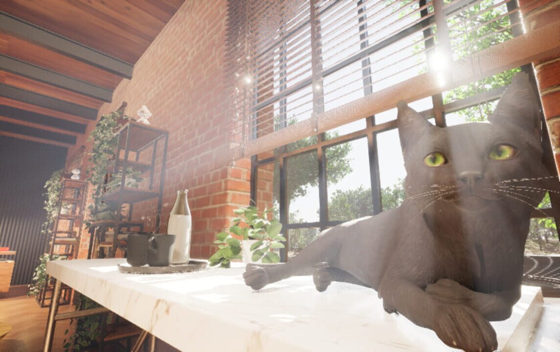 Cat’s Meow Live Wallpaper