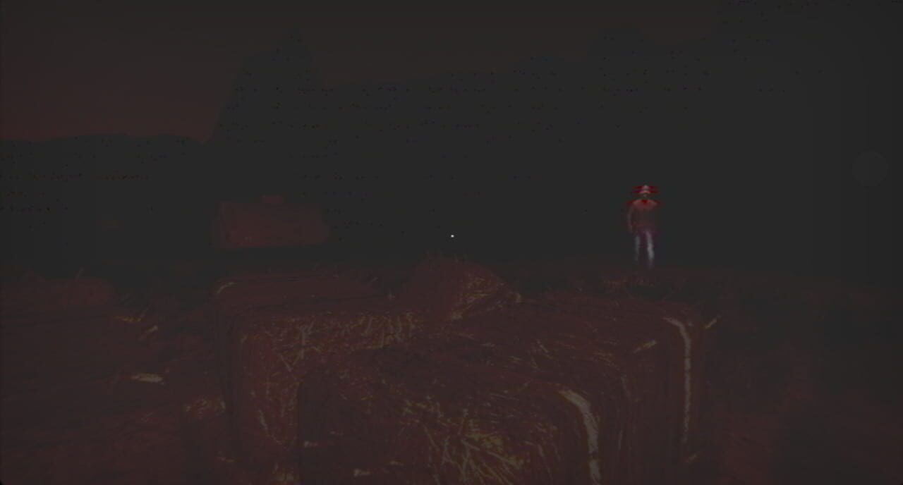 The Dark Field
