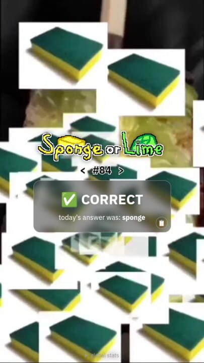 Sponge or Lime