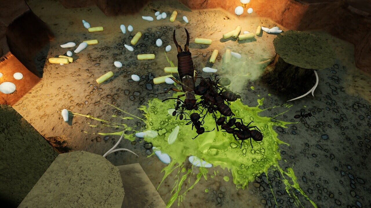 Empires of the Undergrowth: Exploding Ants