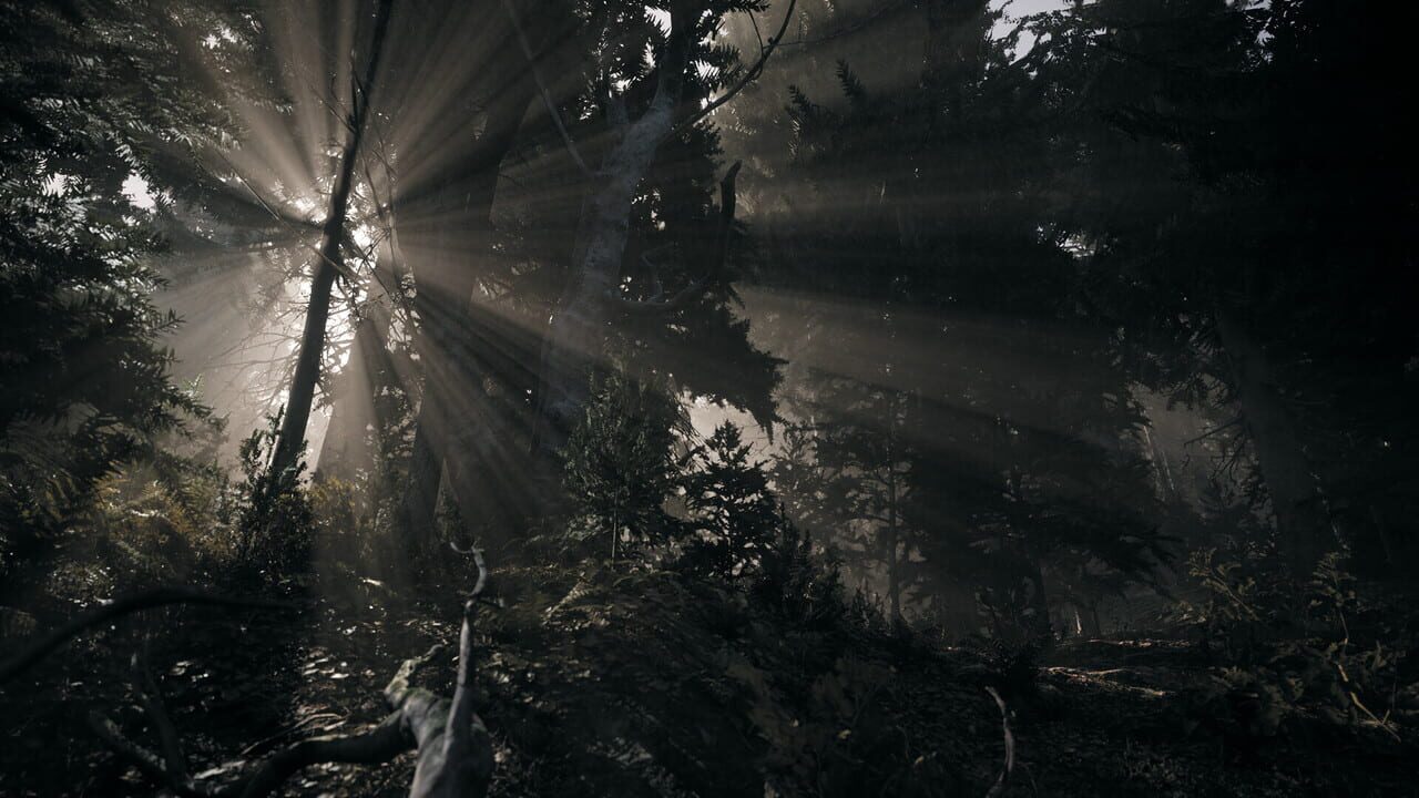 Nature of Dread