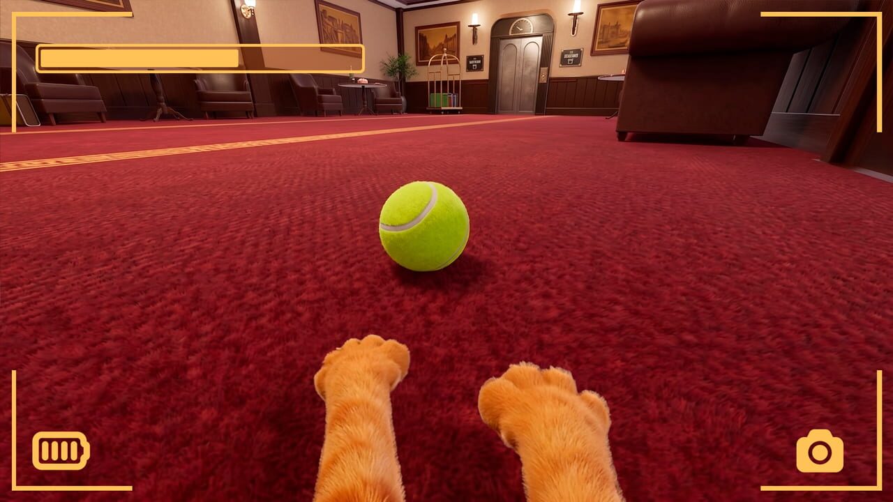 Strays POV Tales