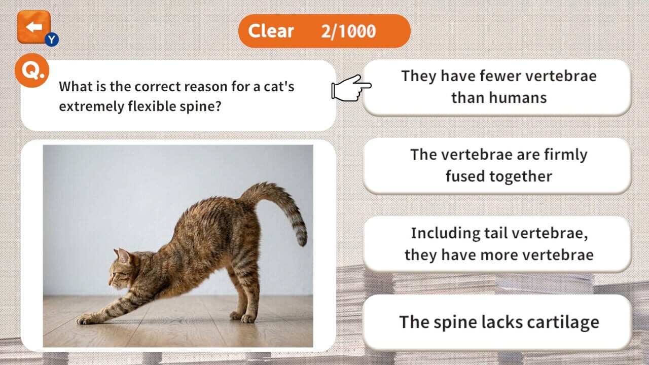 1000 Questions to Be Chosen by the Cat Lord