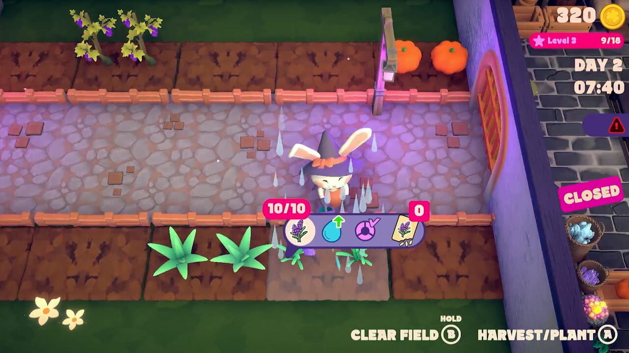 Cat & Rabbit Magic Farming