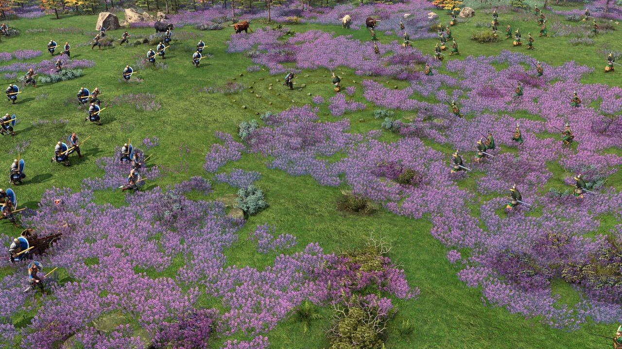 Age of Empires IV: Raiders of the North