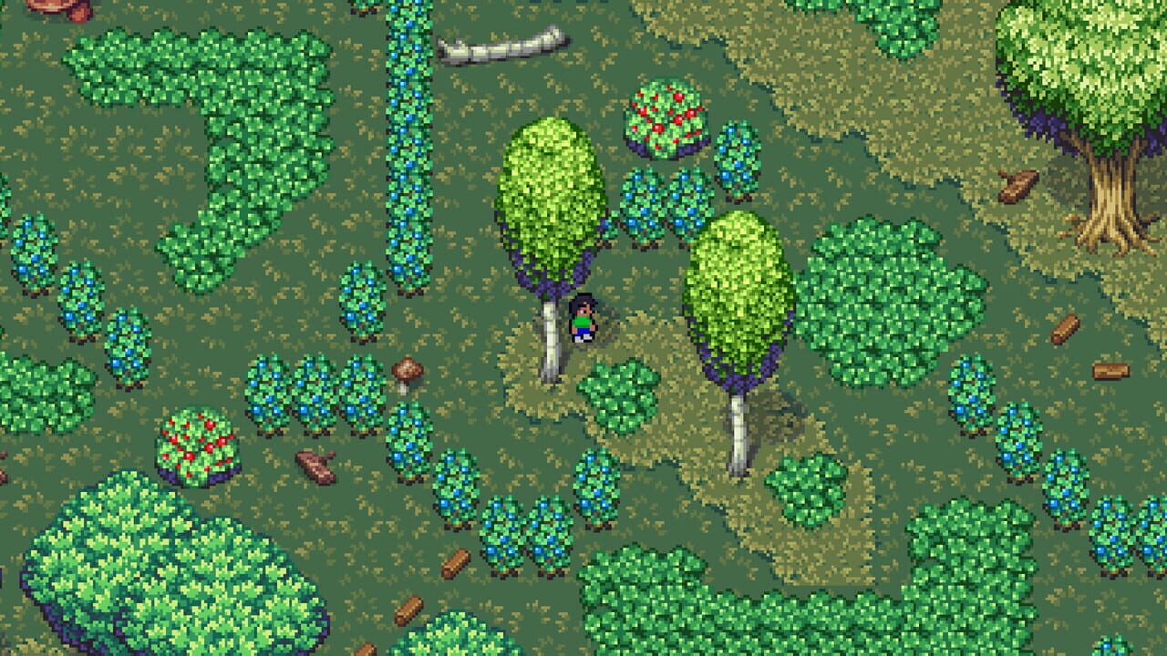 A Maze in Labyrinth