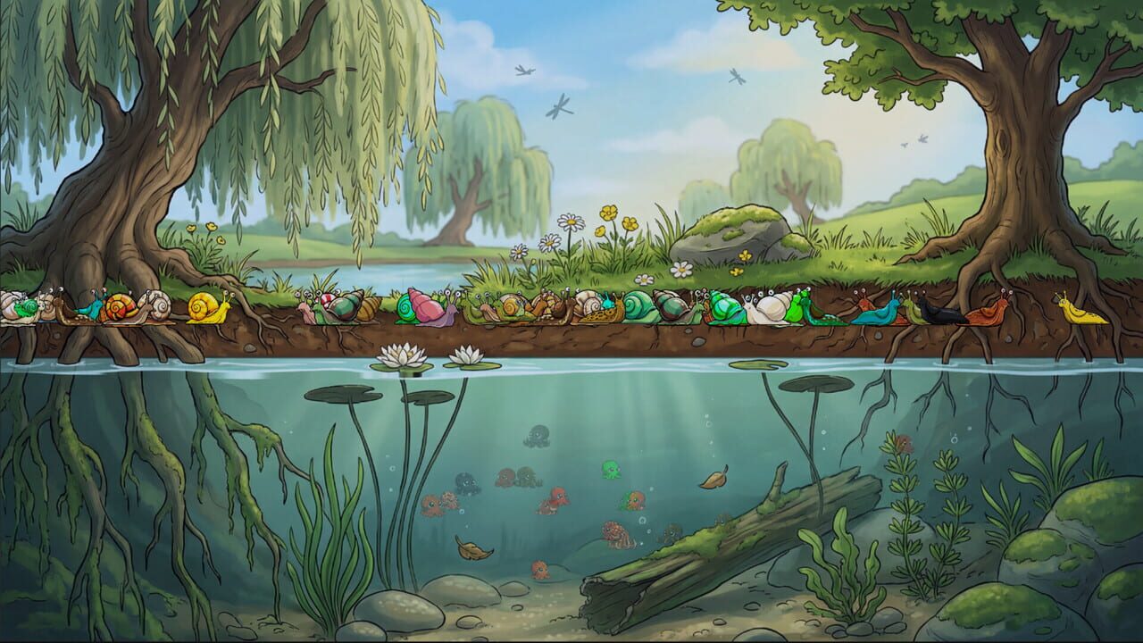 Molluscarium