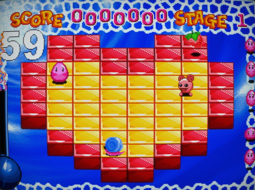Magic Jelly
