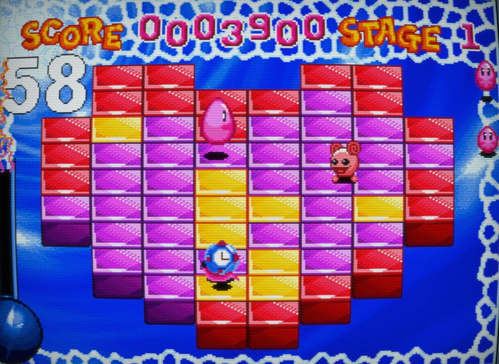 Magic Jelly