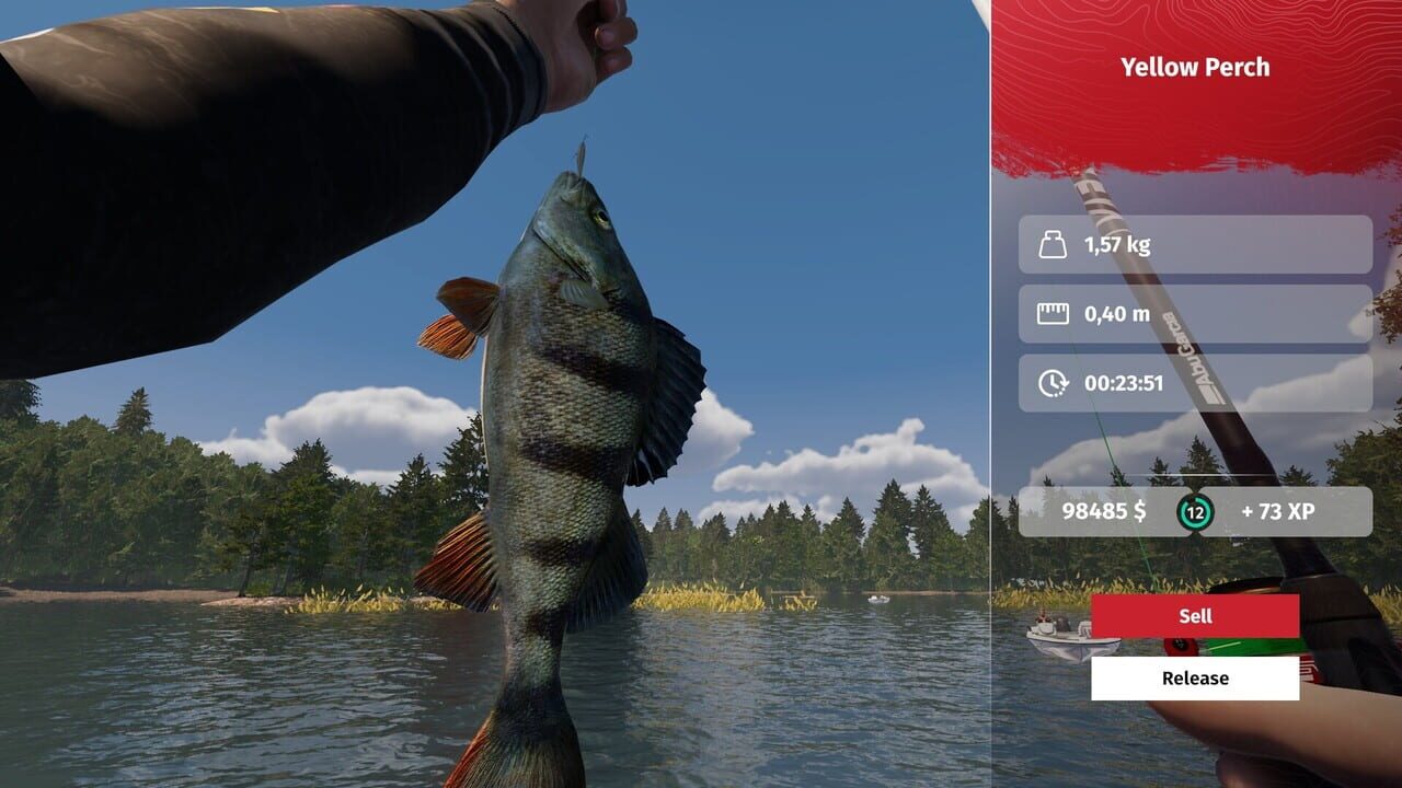 MLF: Pro Catch