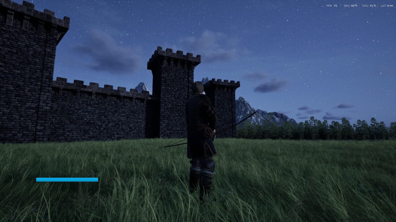Castles & Castellans