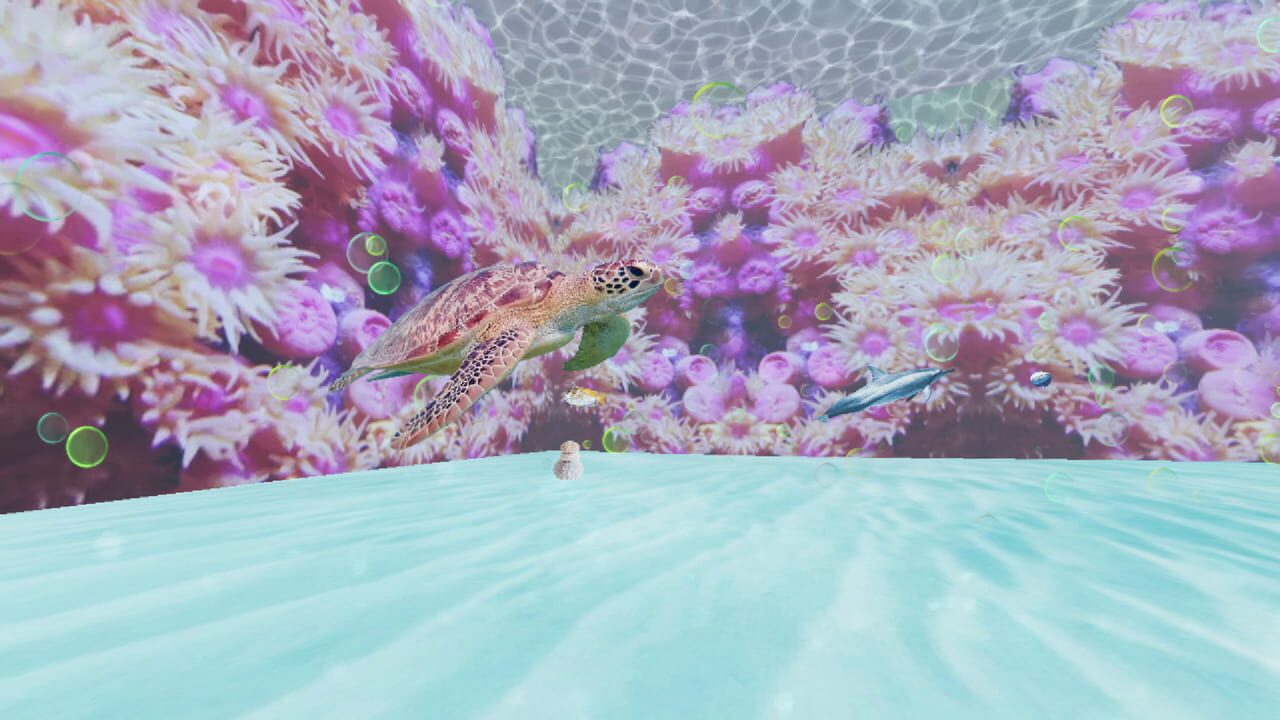 Deep Soup