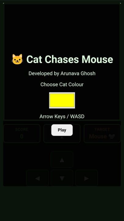 Cat Chases Mouse