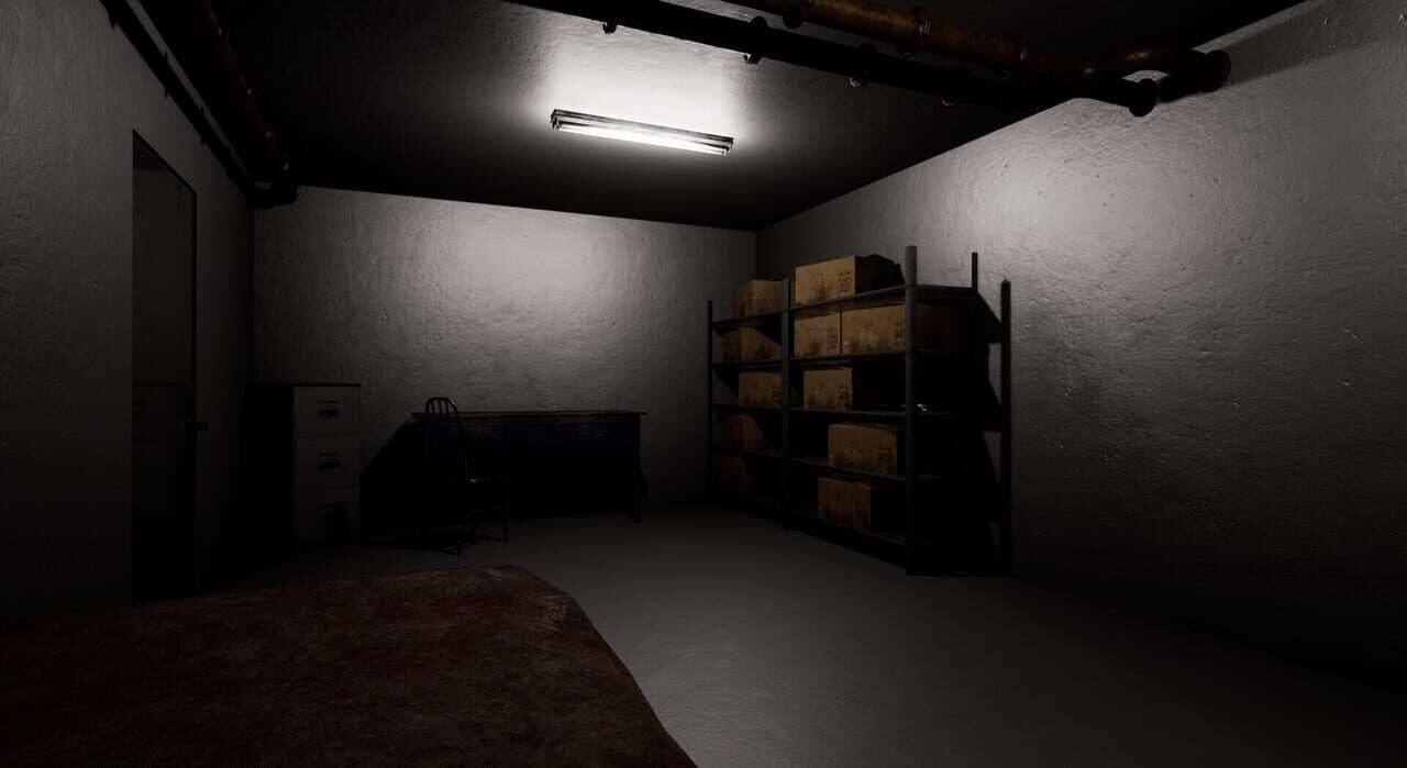 The Confined: Basement