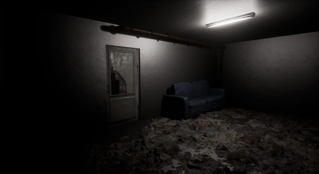 The Confined: Basement