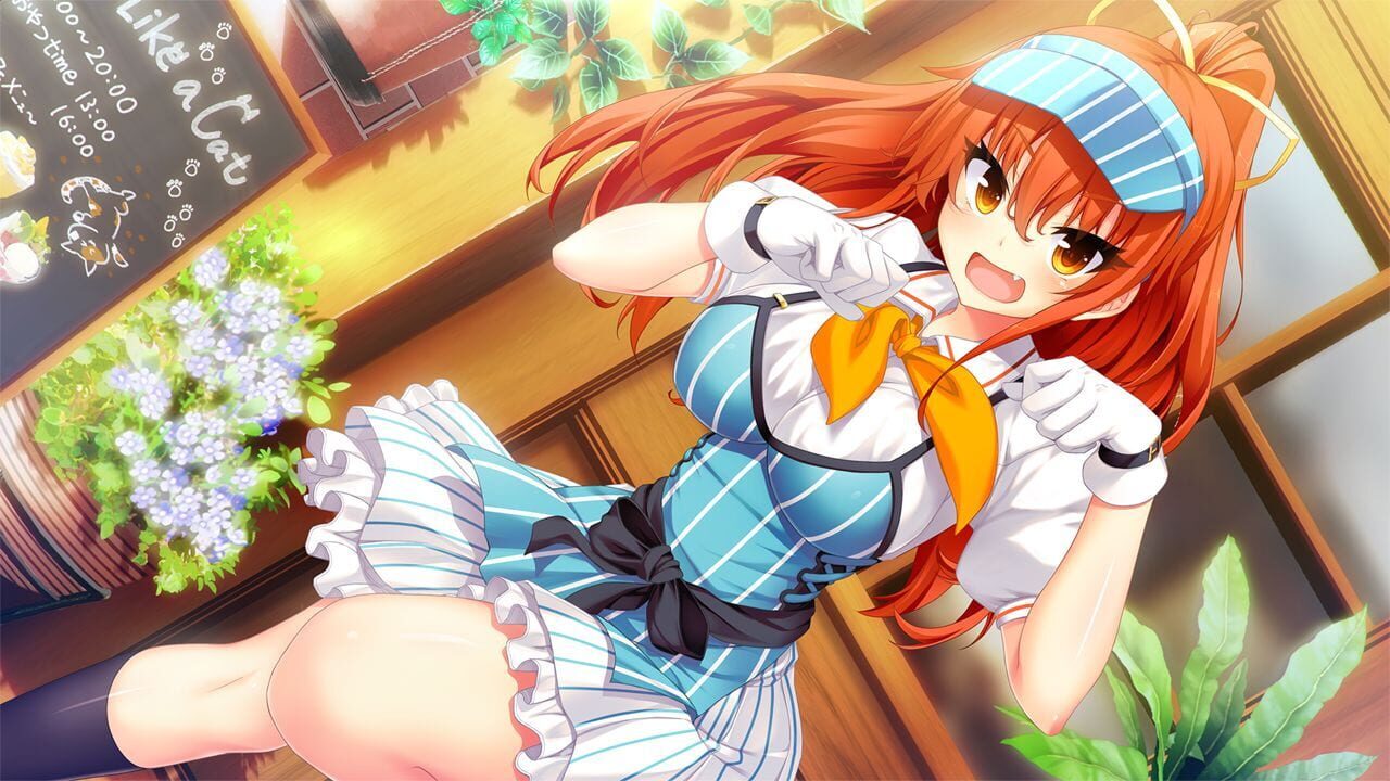 Nora to Oujo to Noraneko Heart HD Version
