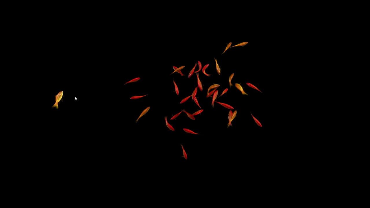 Goldfish Simulator