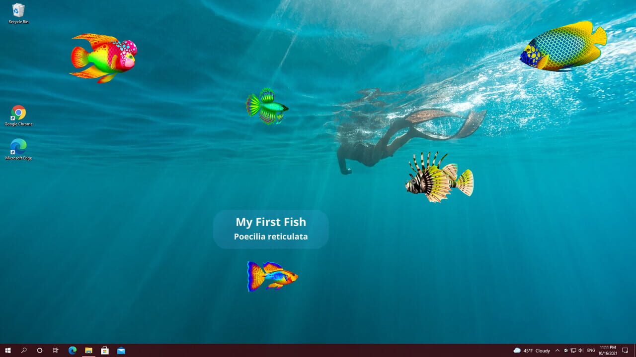Virtual Aquarium