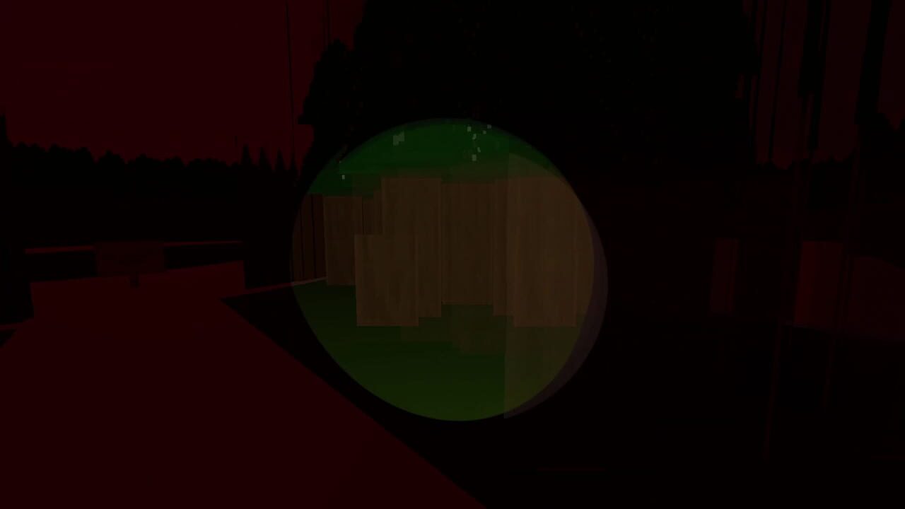 Have You Seen the Moon?