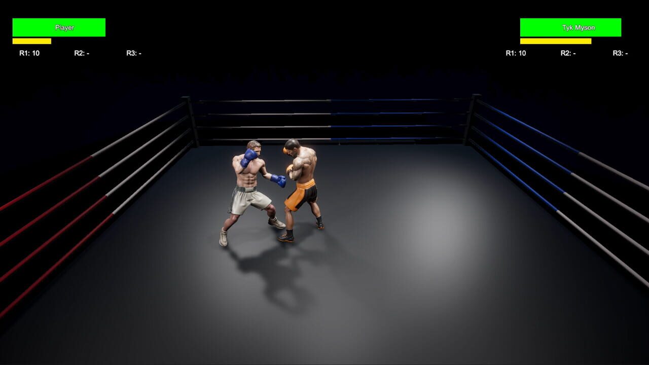 Boxing Life Simulator