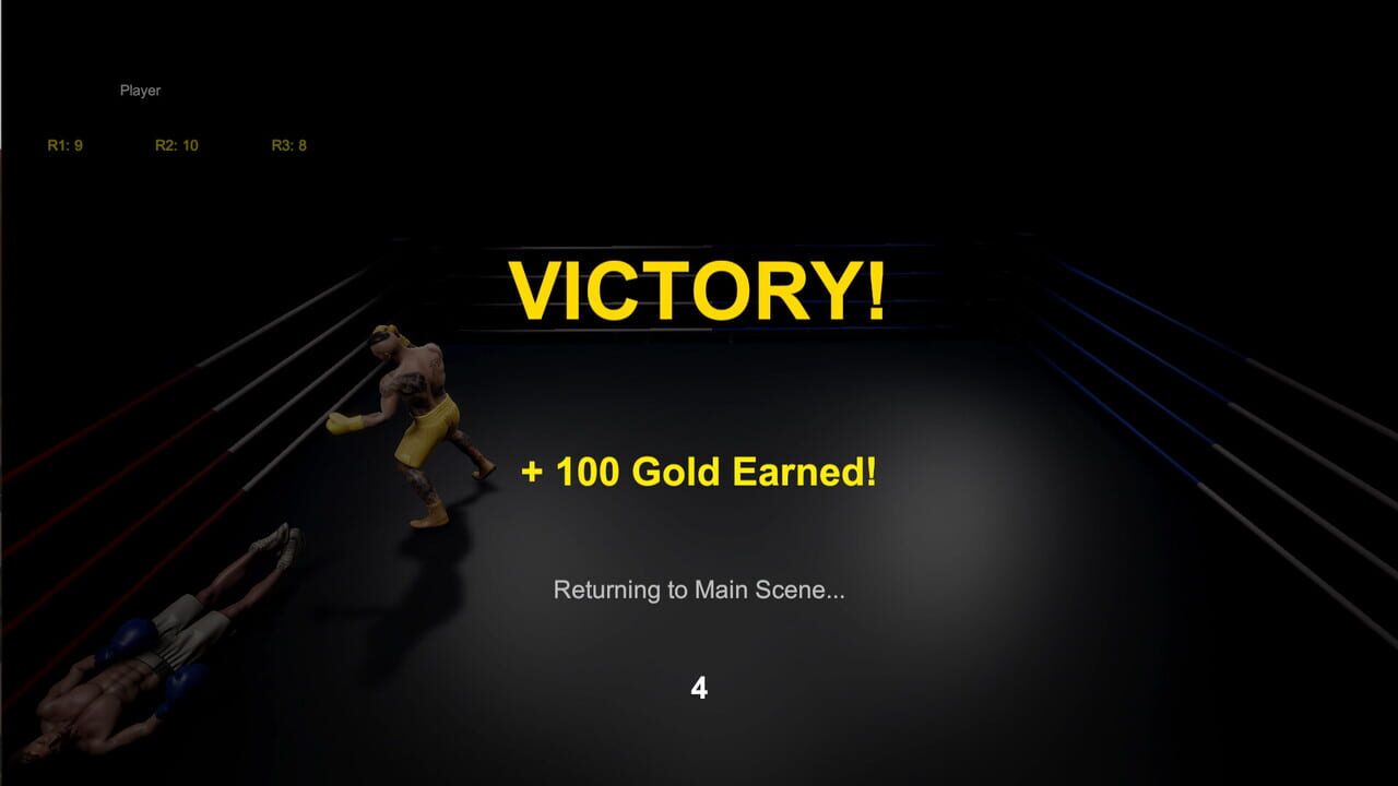 Boxing Life Simulator
