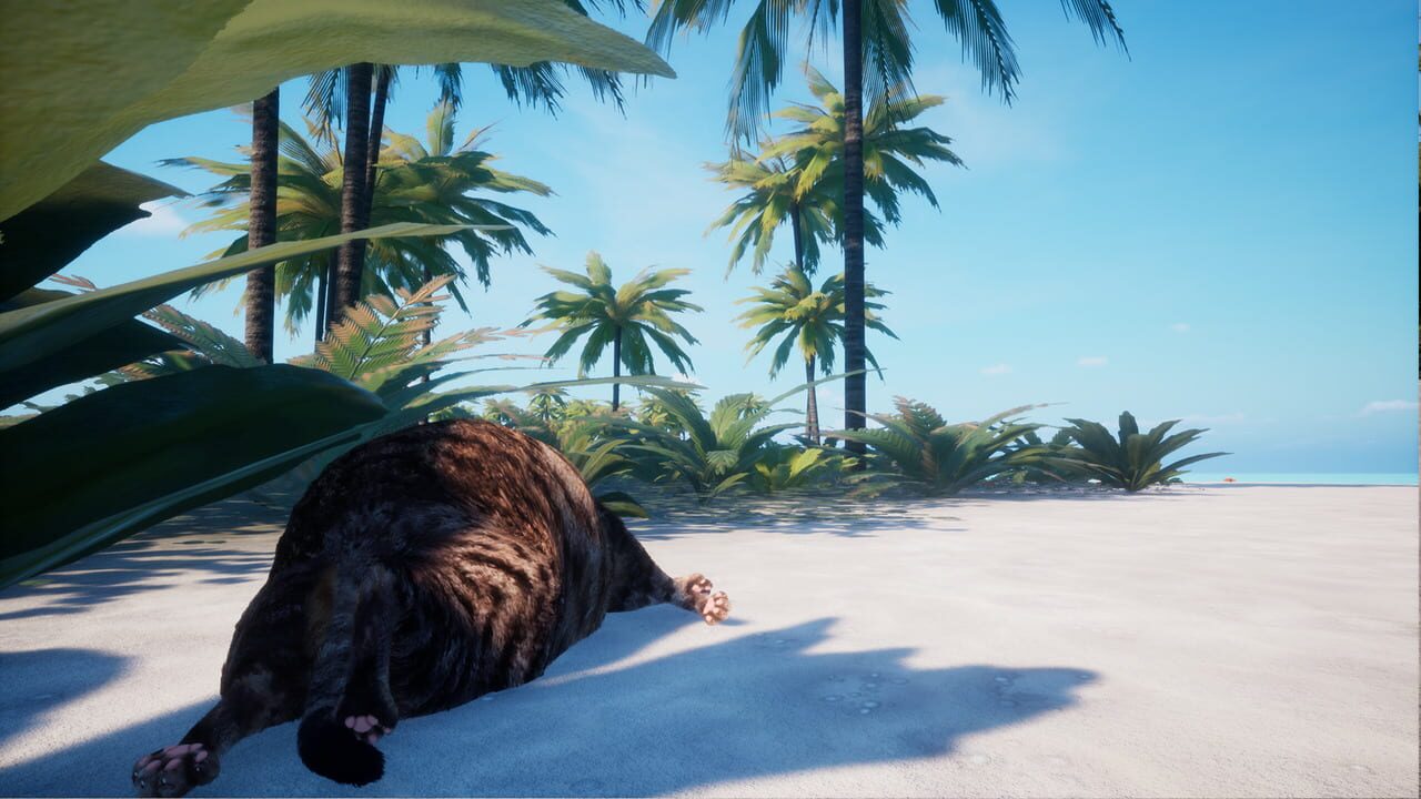 Chonky Cat
