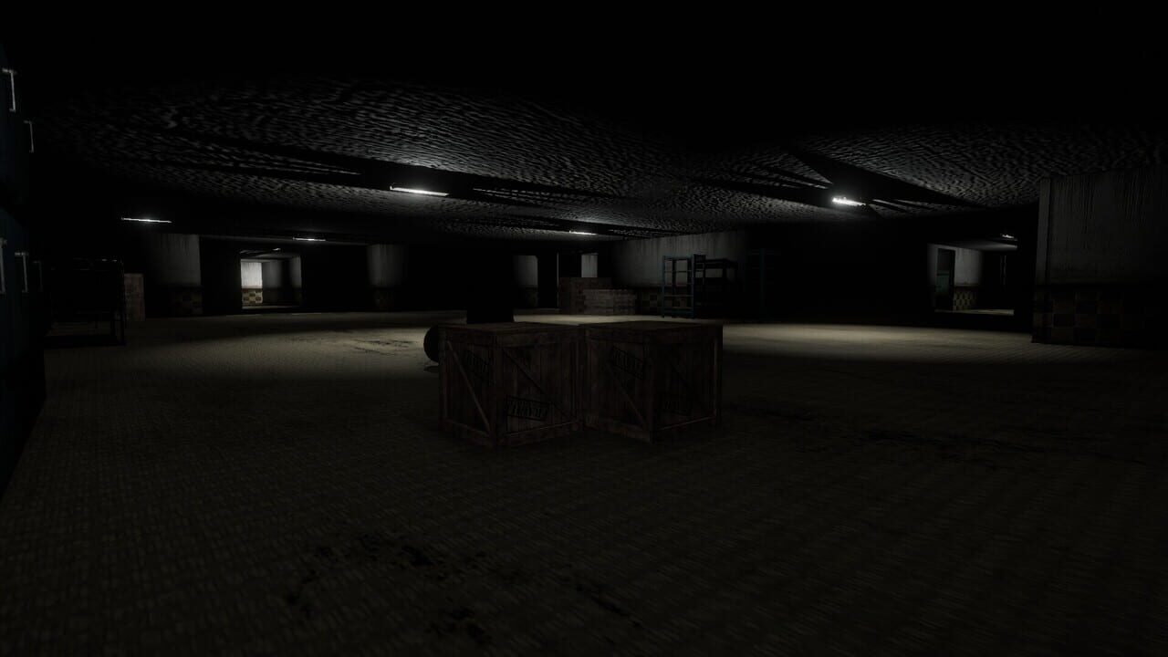 Echoed Nights