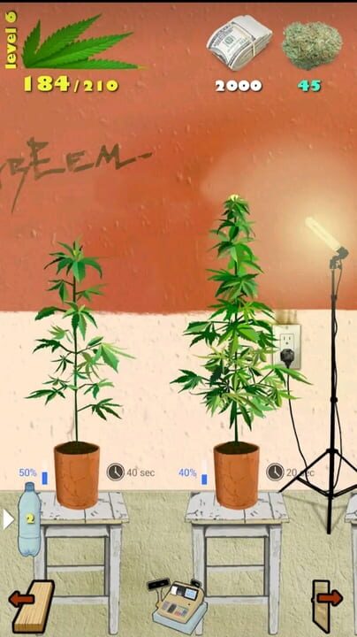 Weed Firm: Replanted